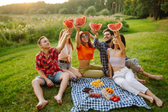 Sommer: Eine Gruppe Freunde essen Wassermelone in guter Laune beim Picknick